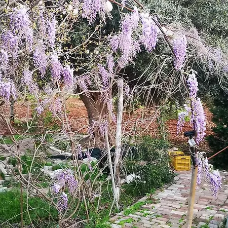 L'antico Oasi Vila Triggianello