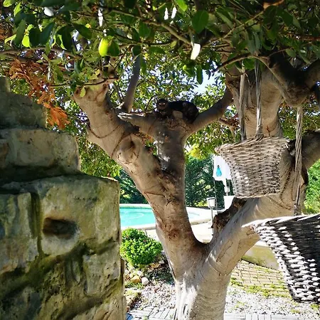 Vila L'antico Oasi